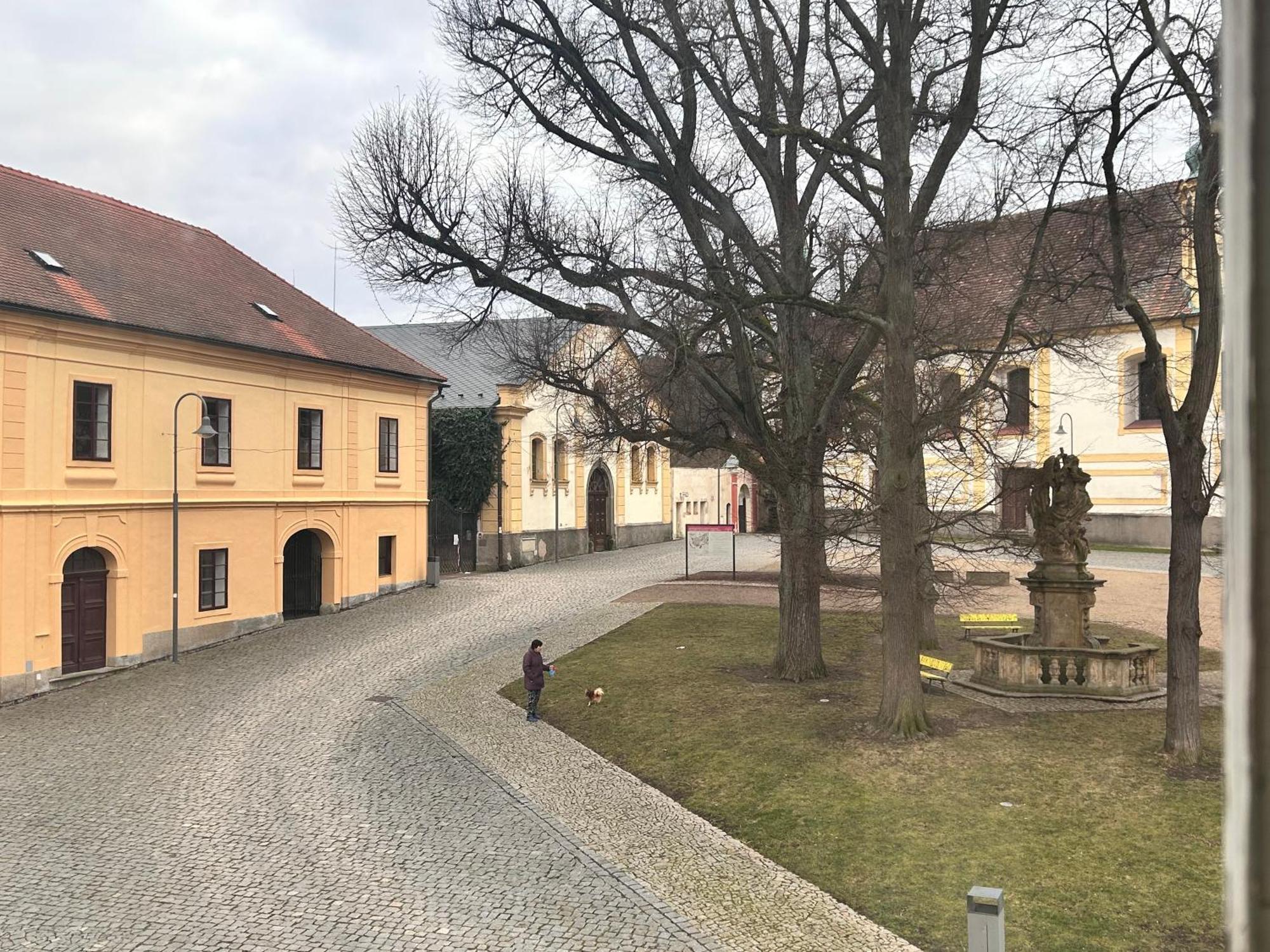 Restaurace A Penzion Podloubi Opočno エクステリア 写真